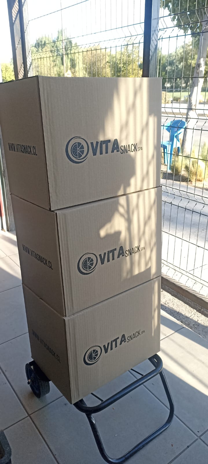 Frutas para oficinas, snack empresas - VitaSnack