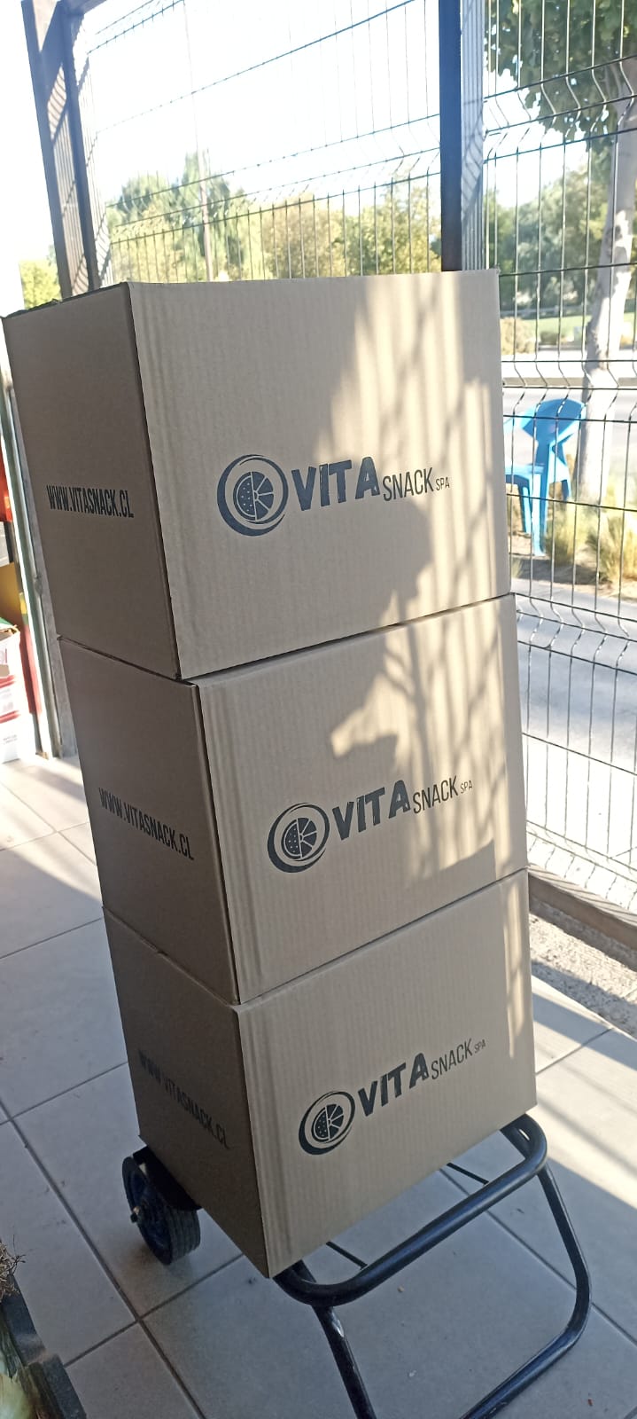 Frutas para oficinas, snack empresas - VitaSnack